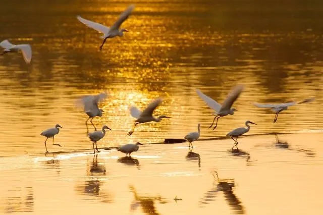 Shanxi wetland joins coveted national list