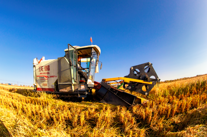 Bumper autumn harvest heralds record output