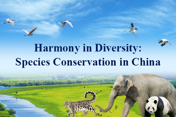 Harmony in Diversity: Species Conservation in China