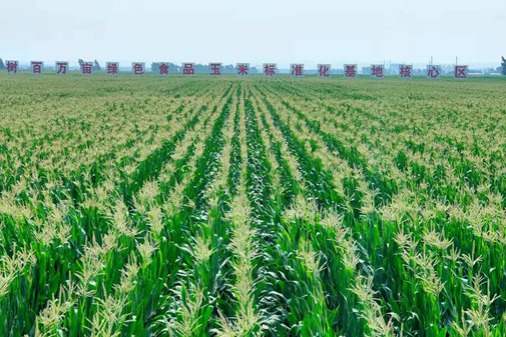 Jilin province plots path for agricultural clusters