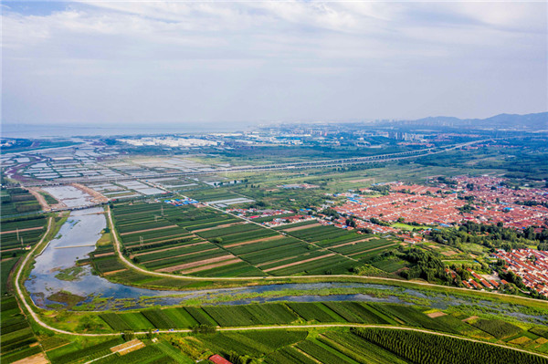 Qingdao makes progress in rural vitalization