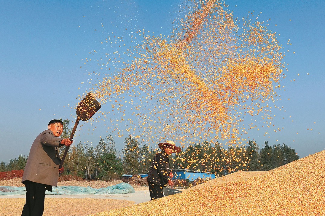Grain output rises despite disruptions