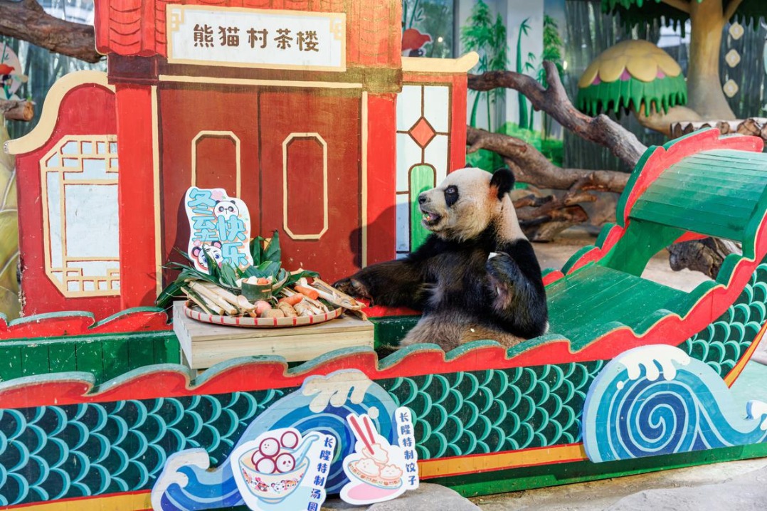 Animals at Guangzhou safari park indulge in Winter Solstice treats