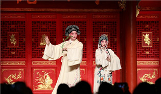 Carnival of Suzhou's rich culture and arts a pleasure for Beijing audience