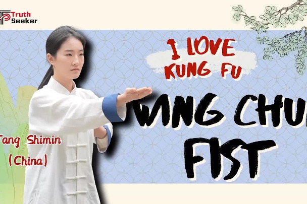 I love kung fu—Wing Chun Fist