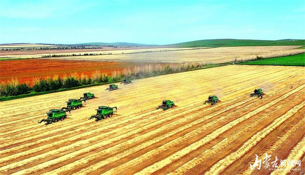 Inner Mongolia sees 20th straight year of bumper harvest