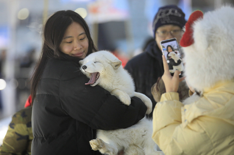 Harbin's winter tourism boom a catalyst for domestic travel revival