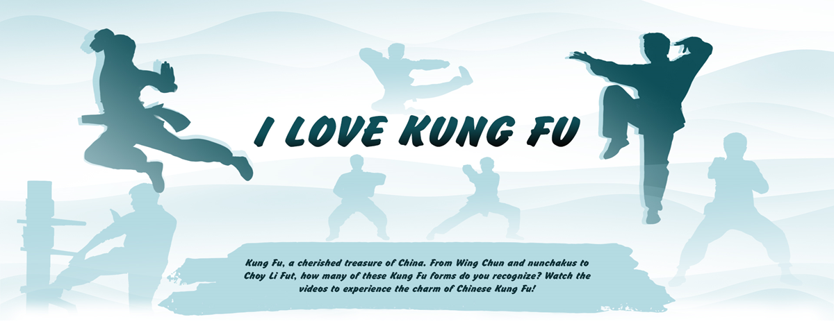I love Kung fu