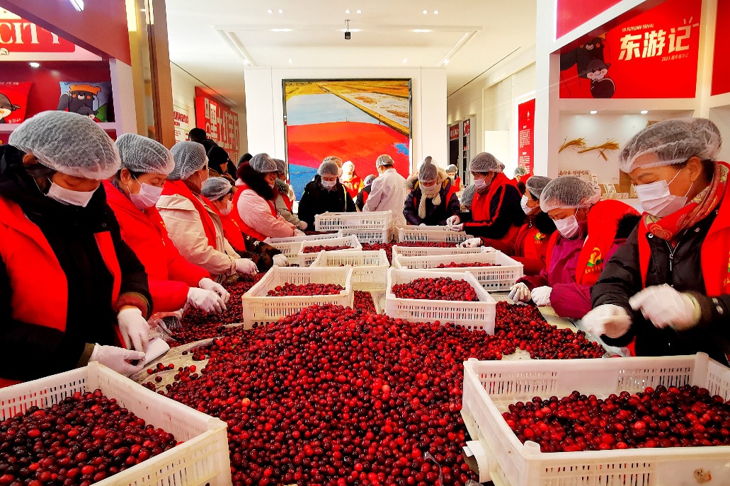 Boom in travel to 'ice city' Harbin spurs sales of cranberry products