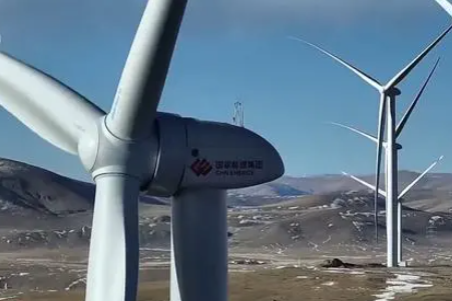 Xizang's new high altitude wind farm is a green energy milestone