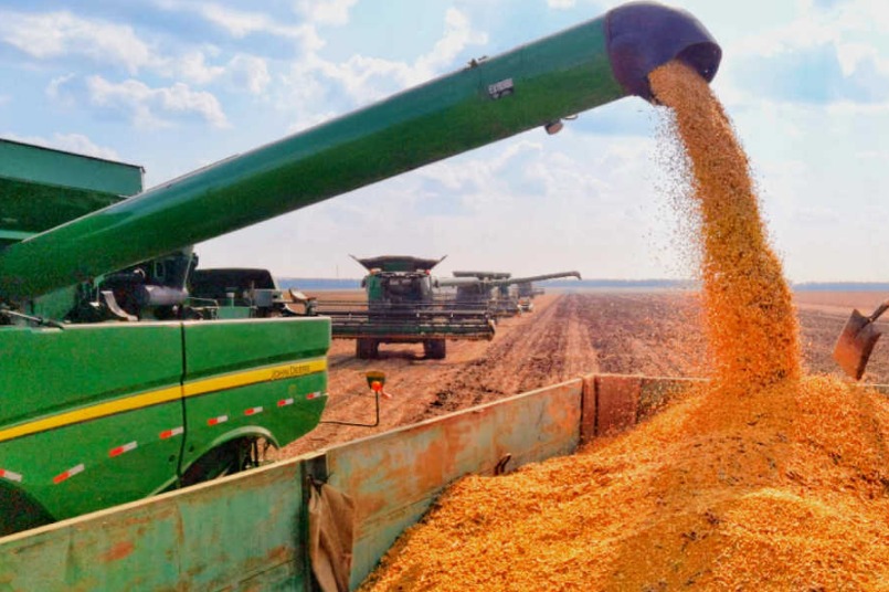 China mulls law to further ensure income of grain growers