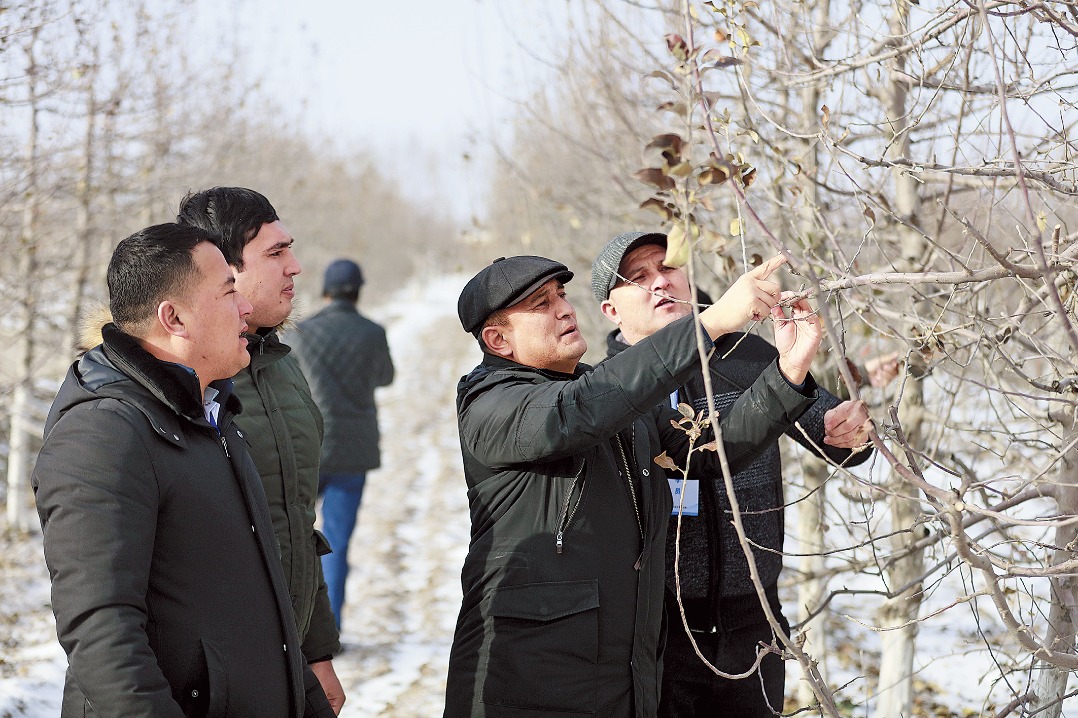 Central Asian farmers learning from China