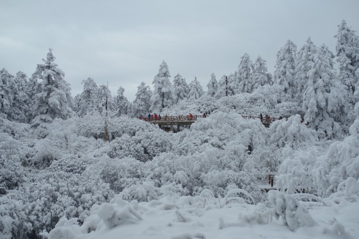 Snow-covered landscapes an attraction at a national forest park in Sichuan
