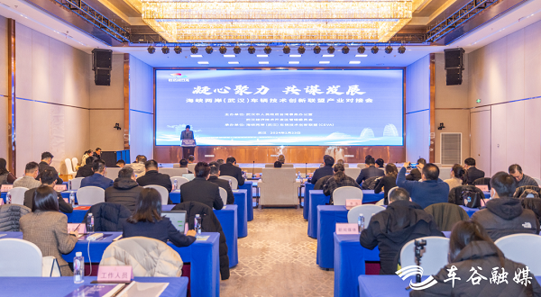 Wuhan-Taiwan bond enhanced via industrial match-making meeting