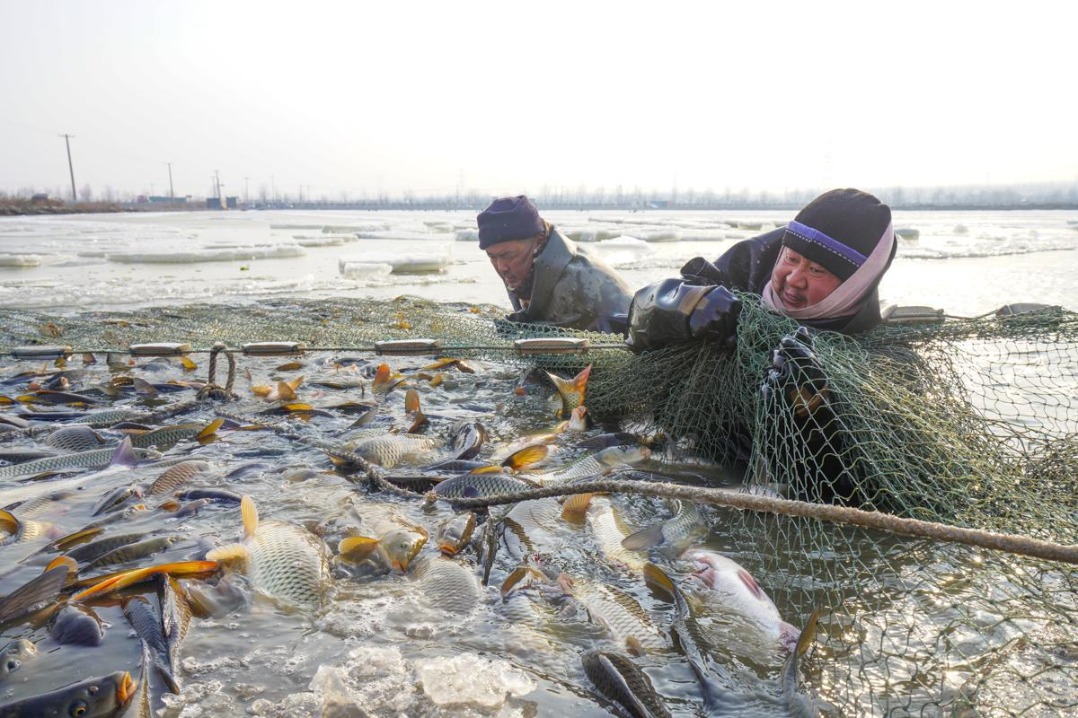 Fishermen break ice for abundant catch in Hebei