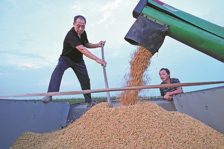 Demand from China drives US' soybean trade