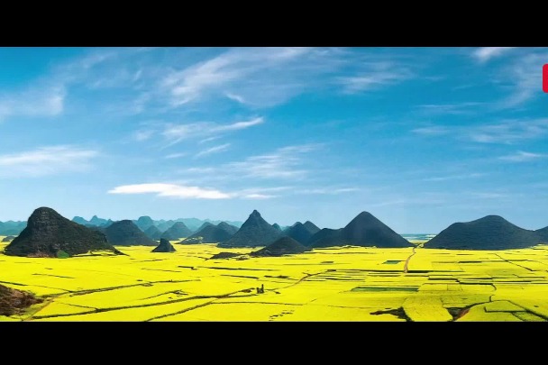 Admire Luoping’s rapeseed flowers with a song