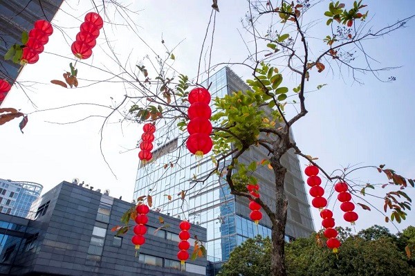 Huangpu embraces festive spirit with vibrant Chinese New Year celebrations