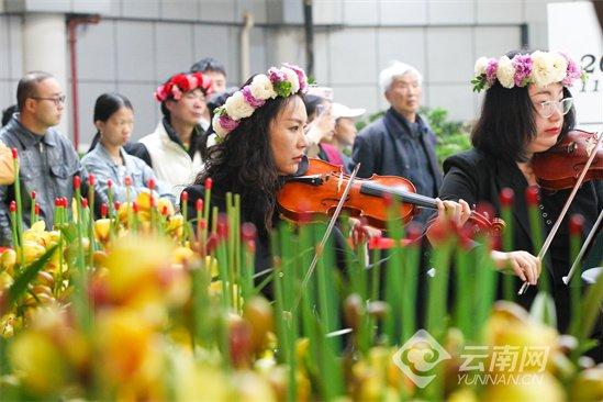 Music and flowers: Urban concert held at Dounan Flower Market