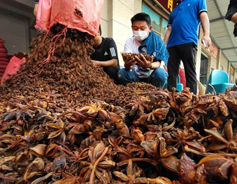 Yulin on its way to be world's capital for spices