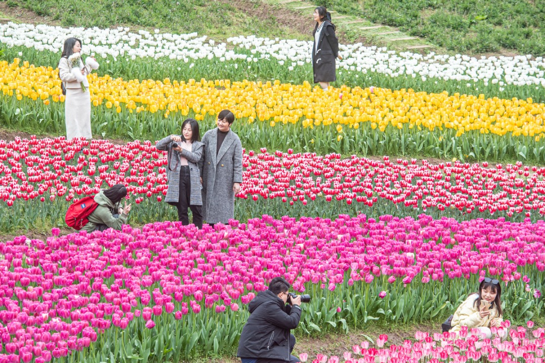 Flowers bloom, tourism booms