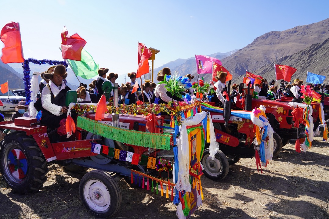 Xizang villages come alive with ancient spring plowing festivities