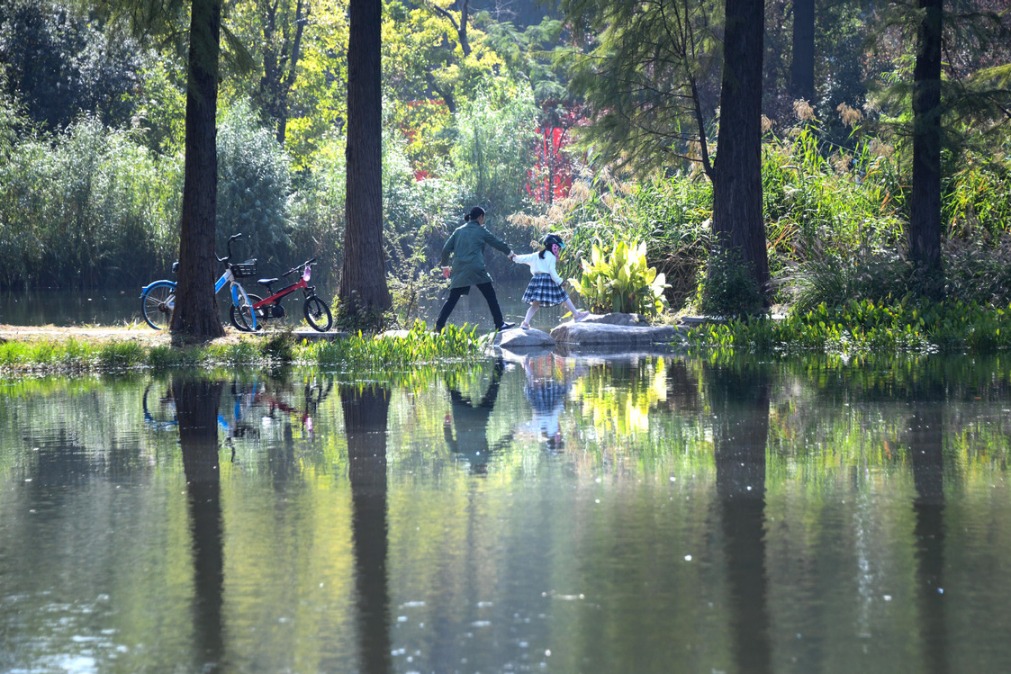 China to ramp up wetland protection, restoration