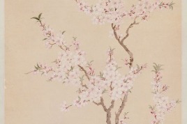 Peach blossoms depicted in 18th-century painting