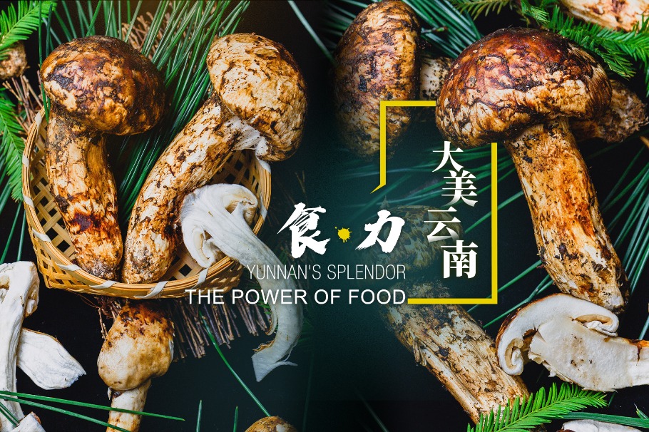 Yunnan's splendor: The power of food