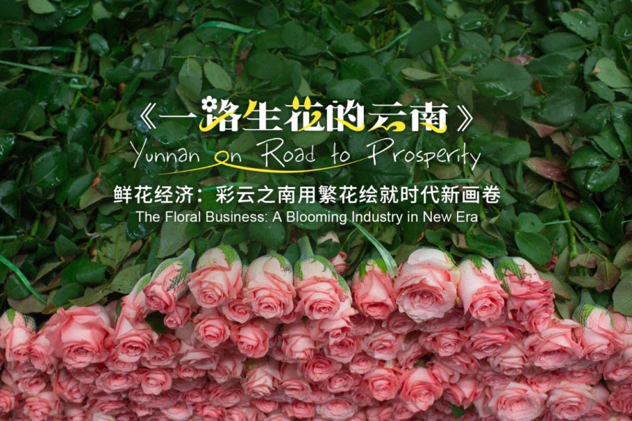 Yunnan on road to prosperity — The floral business: A blooming industry in new era