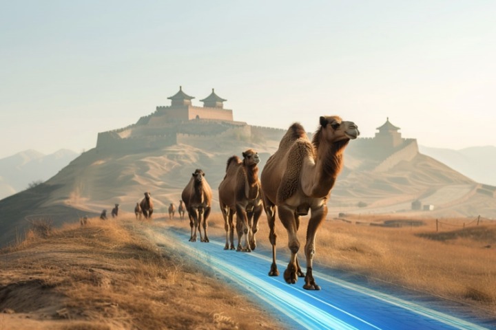 Silk Road expands further in digital age