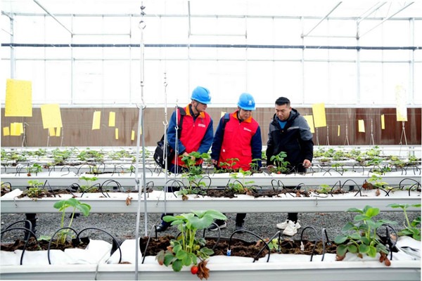 Sufficient power helps smart agriculture in Anhui