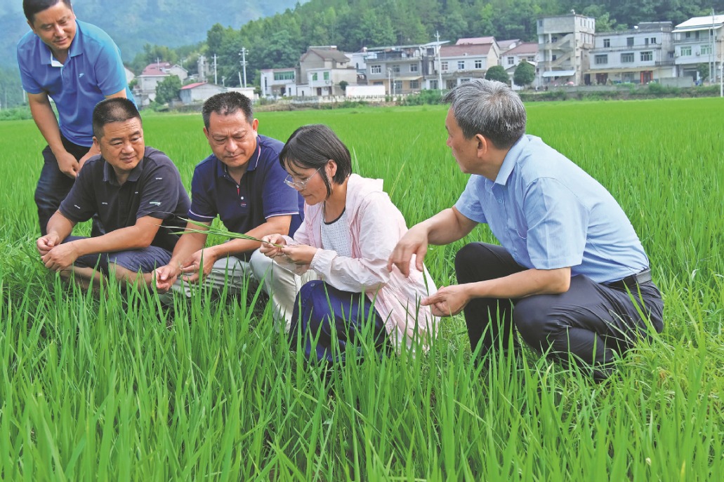 Boosting rural prosperity with sci-tech