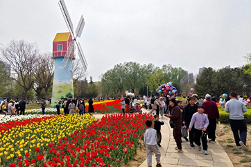 Jining tourism market flourishes during Qingming festival holiday