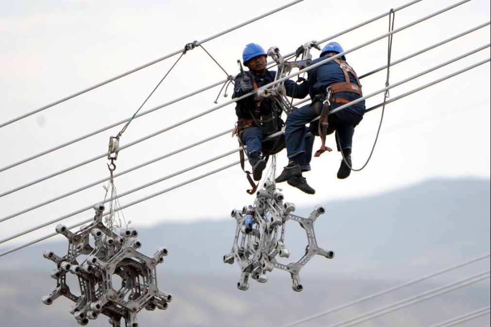 Dedicated Xinjiang teams protect electrical lines, birds