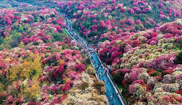 Guizhou sees boom in tourism during Qingming Festival holiday