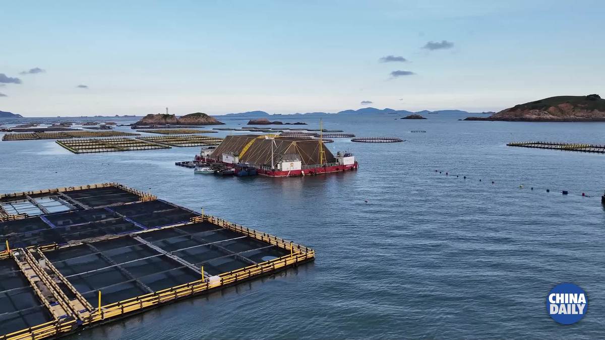 Fujian's fish farms open up possibility of sustainable food production