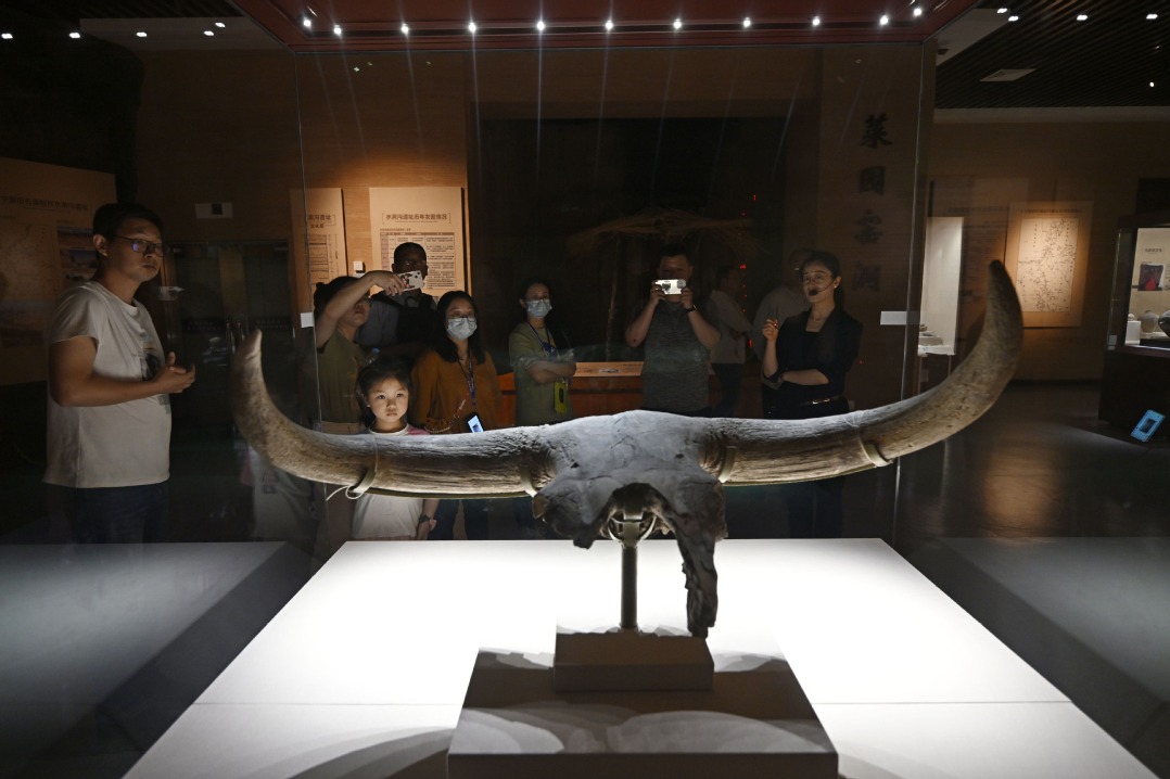 Museum visits gaining popularity among young people govt.chinadaily