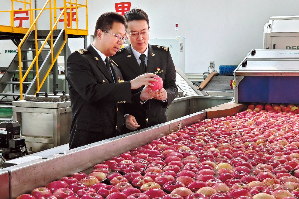 Apples from Gansu grow on foreign markets