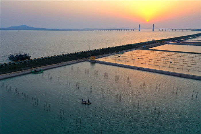Qingdao's Jimo district leads northern China in sea cucumber aquaculture