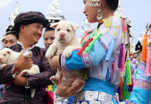 Colorful carnival celebrates diversity