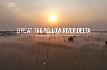 Documentary on Yellow River Delta takes top honors