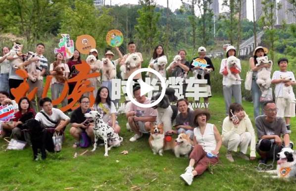 Pet-friendly tourist train opens in Chongqing park