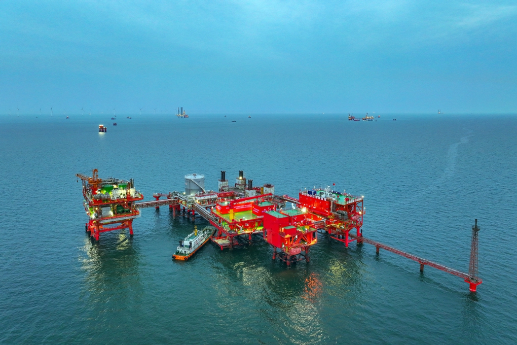 Green innovation boosts invigoration into Shandong oil field