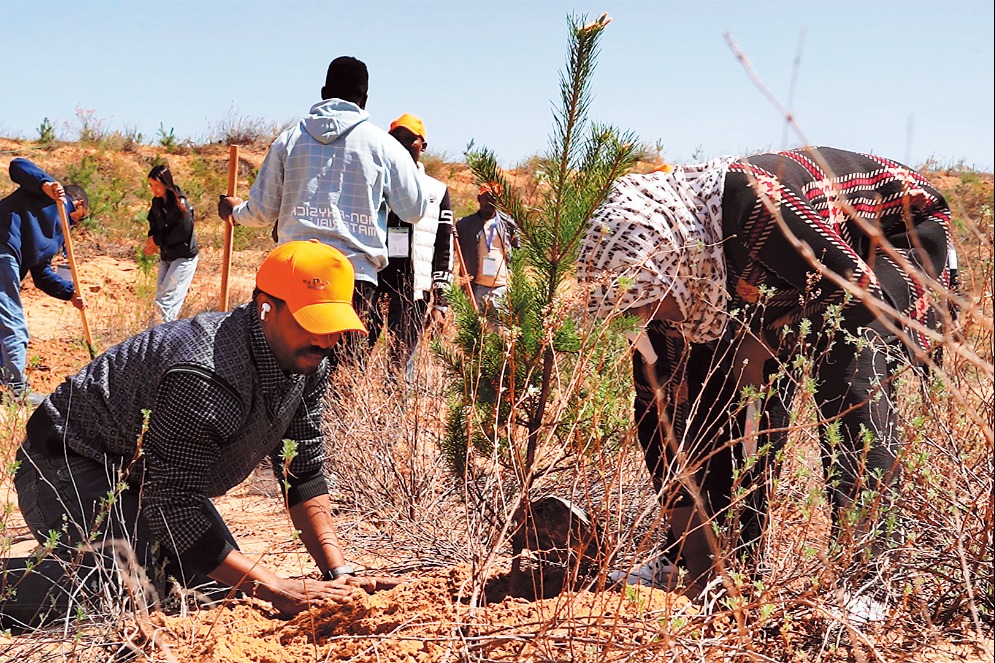 African experts learn about desertification control