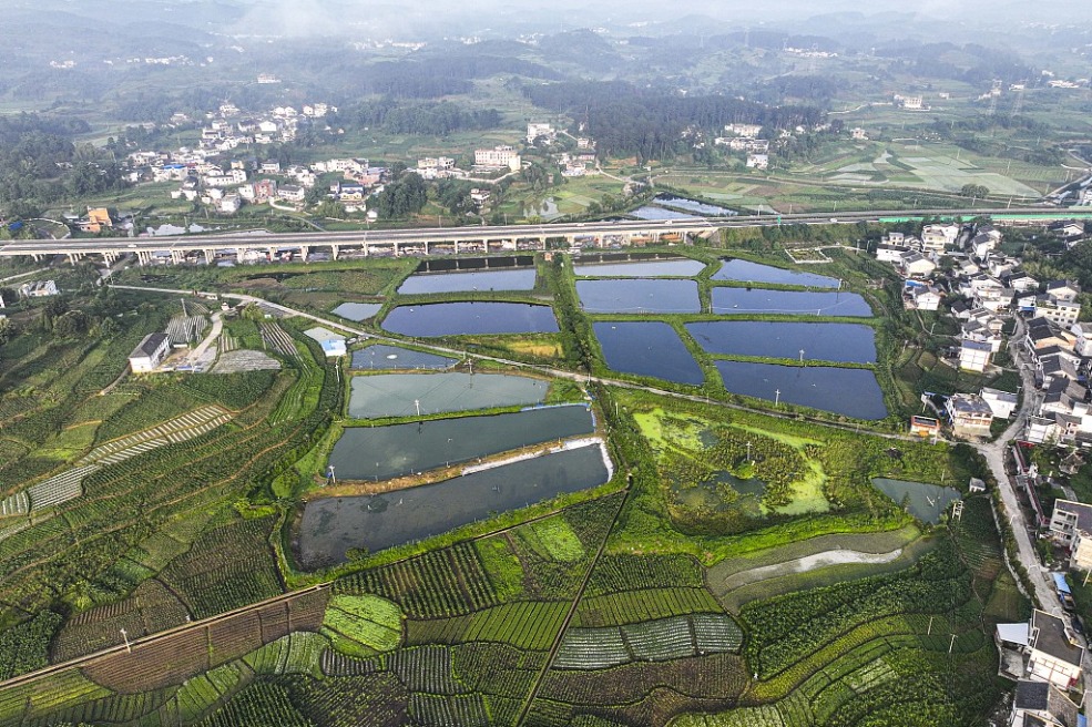 Guizhou in full swing as it pursues efforts for high-quality development