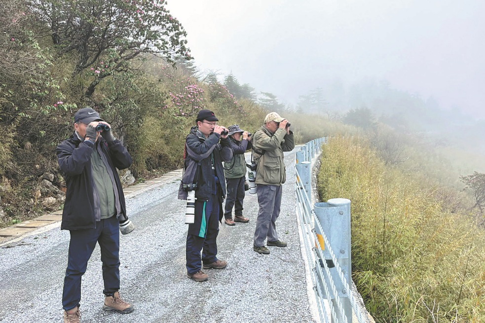Number of bird-watchers on Chinese mainland skyrockets to record high