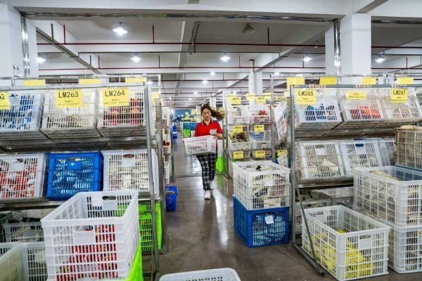 China to create new consumption scenarios to tap consumer demand