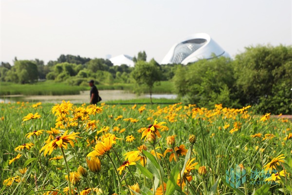 Harbin listed as a popular summer retreat destination