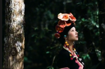 Yunnan cameraman captures wild mushrooms in floral hairpins